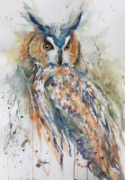 Owl Study by Kathy Weiss
