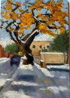 Cottonwood Meets Snow by Camilla Tracy