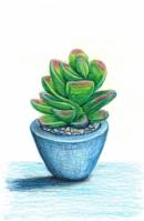 Just a Little Succulent by Alicia Robinson