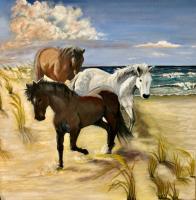 Shackleford Banks Ponies by Dunja Earley