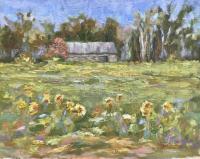 Sunflower Fields by Martha Manco