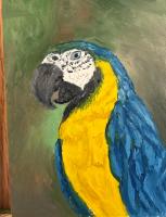 Blue and Gold Parrot Right by Gary White