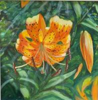 Return of the Tiger Lilly by Dunja Earley
