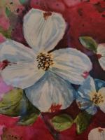 Dogwoods with Pink Background by Martha Mabe