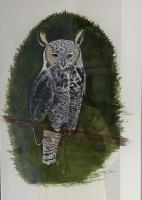 Horned Owl by Cherry Howe