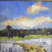 Country Cotton by Helen Newton