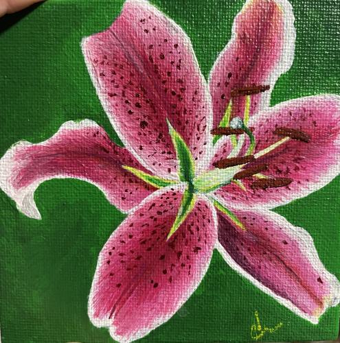 Stargazer Lily by Michelle Terblanche