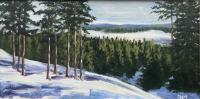Winter Mountain View by Carol Stowe-Rankin