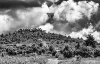 Grayson Highlands by Ellen Devenny