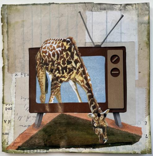 Reality TV by Teri Fridley