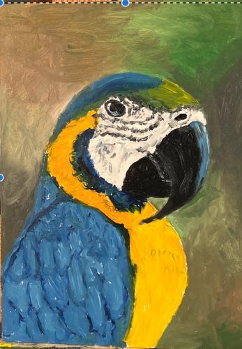 Blue and Gold Parrot Left by Gary White