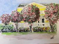 Belmont Crepe Myrtles by Anna Currie