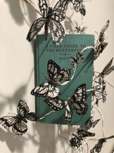A Field Guide to the Butterflies-3rd place by Teri Fridley