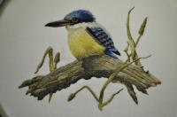 Sacred Kingfisher by Janet Baxter